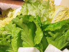 -额尔敦草原涮羊肉·烧烤(冻青树总店)
