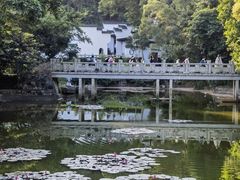 -深圳国际园林花卉博览园