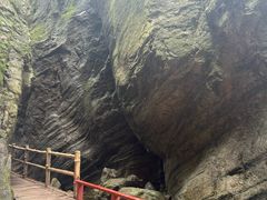 -牛背梁国家森林公园