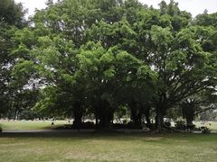 -南宁南湖公园