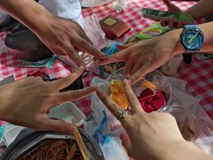 -桤木河湿地公园