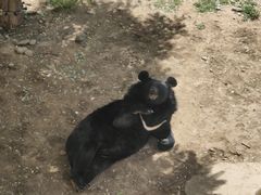 -石家庄市动物园