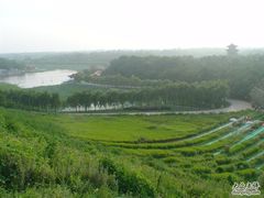 -南戴河国际娱乐中心