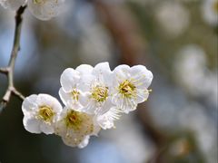 -颐和园