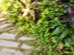 -龙山酒店温泉