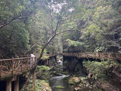 -永泰中国云顶