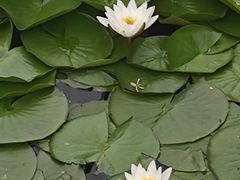 -长春市南湖公园