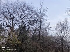 -随意茶庄·地道杭帮农家菜(梅家坞店)