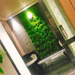 -扎嘎形象设计