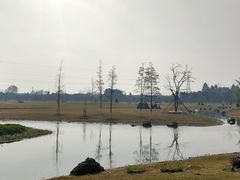 -夏河溪乡野公园