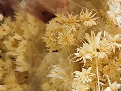 -三圣花乡旅游区