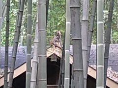 -苏州环秀晓筑养生度假村