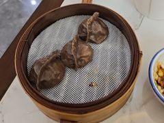 -张记荞面馆