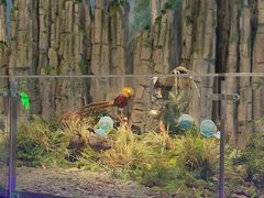 -湖南省地质博物馆