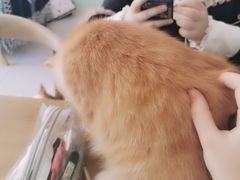-平行世界·猫咖(首经贸店)