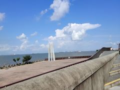 -上海滨江森林公园