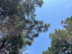 -同济大学(嘉定校区)