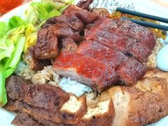 -瑞霖·隆江猪脚饭