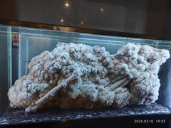 -湖南省地质博物馆