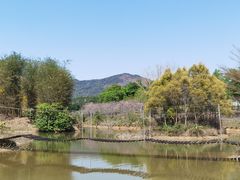 -天适樱花悠乐园