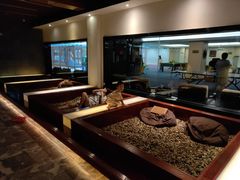-海韵之星邮轮水会(明发商业广场店)