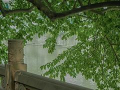 -成都市活水公园