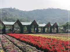 -丹樱生态园