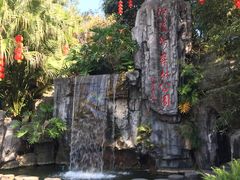 -广州市流溪河国家森林公园