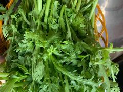 -姥家大锅台水库渔家