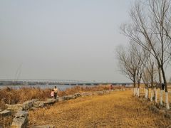 -绿堤公园