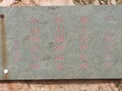 -莫子山公园
