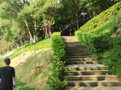 -重庆彩云湖湿地公园