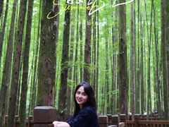 -山王坪喀斯特国家生态公园
