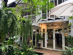 -Fern Forest Cafe