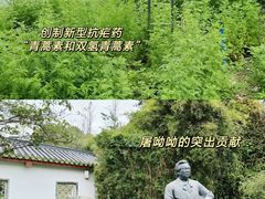 -广州神农草堂中医药博物馆