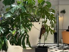 -一尺花园(安和花园店)