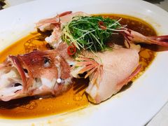 东星斑清蒸东星斑-维园悦谱·海派家常菜(乌鲁木齐南路店)