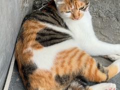 -Again Coffee Roaster(香蜜湖店)