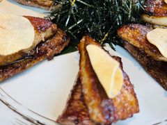 -Hatsune隐泉日式料理(三里屯太古里店)