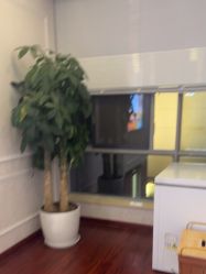 -武汉五洲整形外科医院