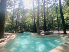 -金方森林温泉