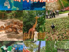 -柳州市动物园