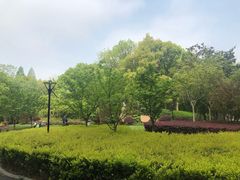 -徐家汇源景区-衡山公园