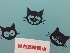 -美联众合动物医院·24h京西诊疗中心