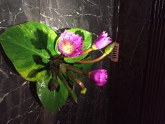 桂花楼-桂花楼淮扬中餐厅(浦东香格里拉店)