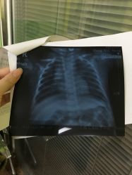-上海交通大学医学院附属上海儿童医学中心(陆家嘴总院区)