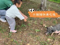 -长兴太湖图影湿地文化园