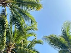 -三亚蜈支洲岛旅游区
