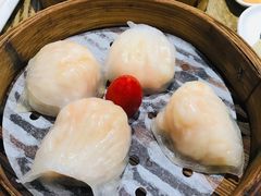 金牌虾饺皇-赏点粤式点心(广州塔店)