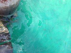 iphone_upload_pic-东姑阿都拉曼海洋公园